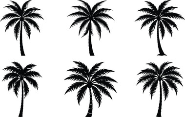 Vector art of collection of six palm tree silhouettes, isolated on transparent background, in black and white