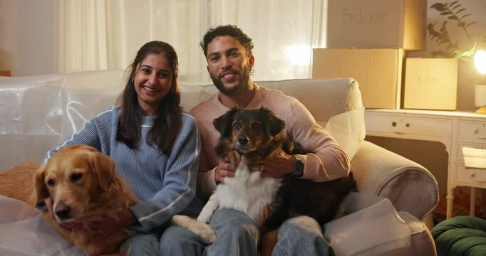 Couple, face and happy with dogs in new home for property purchase, mortgage success or security. Homeowners, night and people with animals on sofa for pet friendly apartment, relocation or moving in
