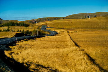 Curve road for travel by car in Iceland with golden fields along the way on roote one.
