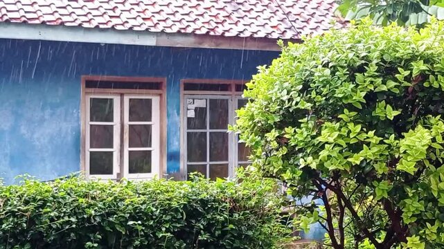 old house in the village, suasana hujan depan rumah di pedesaan yang syahdu
