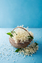 Elder flower