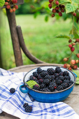 Blackberry