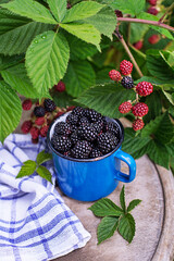 Blackberry
