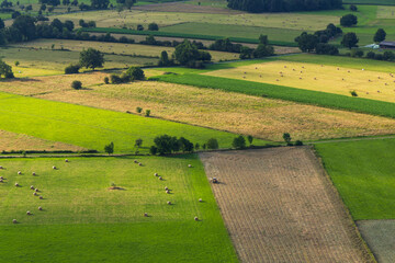 Aerial View of Lush Farmland in Occitanie, France