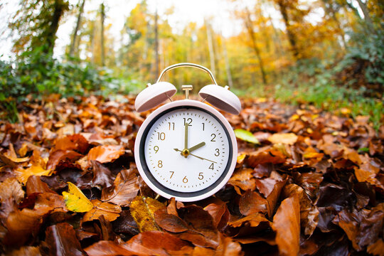 Winter time changeover, end of daylight saving time in autumn, alarm clock fall back switch,  forest with colorful foliage