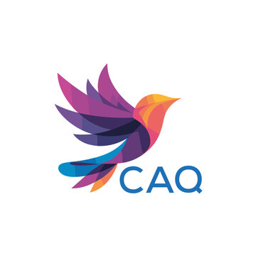 CAQ &ldquo;Colorful Abstract Bird Logo Design on White Background &rdquo; CAQ Later Logo, &ldquo;Modern Gradient Bird Icon with Typography&rdquo; &ldquo;Abstract Hummingbird Style Logo with Vibrant Colors&rdquo;

