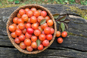 Red plum