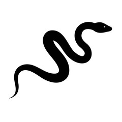 Minimalist Black and White Snake Illustration