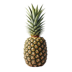 Fototapeta premium Whole ripe pineapple with green spiky leaves isolated on transparent background