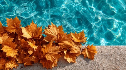 Vibrant autumn leaves on the edge of a clear blue swimming pool with rippling water