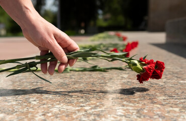Hand placing red carnations  during a memorial ceremony in a public park in spring