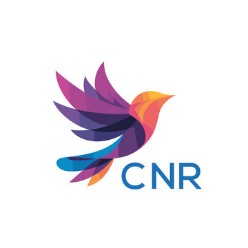 CNR &ldquo;Colorful Abstract Bird Logo Design on White Background &rdquo; CNR Later Logo, &ldquo;Modern Gradient Bird Icon with Typography&rdquo; &ldquo;Abstract Hummingbird Style Logo with Vibrant Colors&rdquo;
