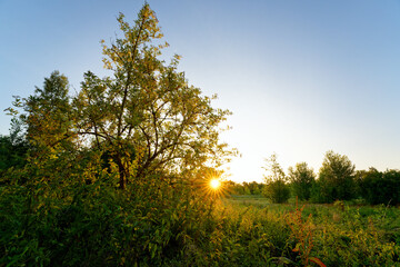 Marshes of the lower valleys of the Juine and the Essonne river. Écharcon village