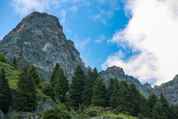 Obraz premium Large rock cliff on the steep trail to Hochgangscharte pass, Texelgruppe, with spruce trees below diffused daylight clouds. South Tyrol, Italy.