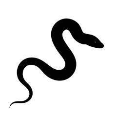 Black silhouette of a twisted snake isolated on a white background
