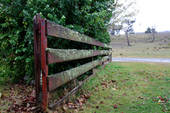 Moss on wet wooden fence in the countryside - Powered by Adobe