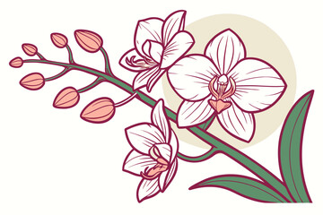 Stylized orchid flower illustration with vibrant color accents © fariya
