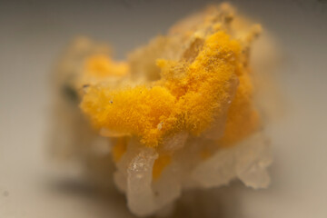 Close-up of red mold (Rhizopus oligosporus) growing on moist, spoiled rice. Shows fungal decay with...