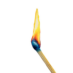 Close up of a single lit match with a bright blue and orange flame isolated on transparent background