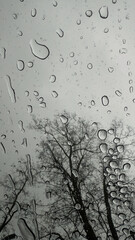 Rainy Day Through a Window: Captivating Drops of Water Clinging to Glass with Grey Sky and Bare...