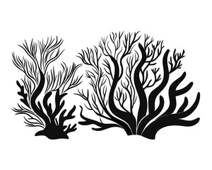 Fototapeta premium Elegant outline depictions of various marine flora and fauna showcasing the beauty of underwater ecosystems in a clean graphic style suitable for diverse design applications