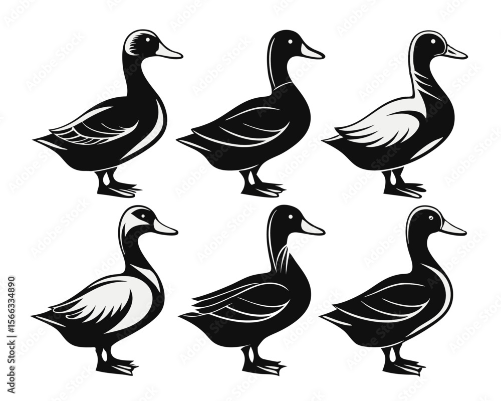 Poster a comprehensive assortment of distinctive duck silhouettes presented on a clean white background for