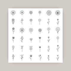 Ai genarate flower black and white
