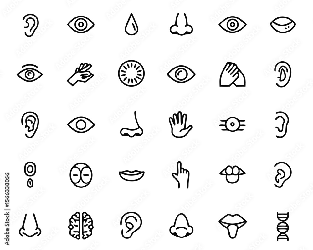 Poster comprehensive collection of five senses symbols representing taste sight touch smell and hearing pre