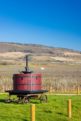 Fototapeta premium Historic Wine Press in Puligny Montrachet Vineyard Landscape
