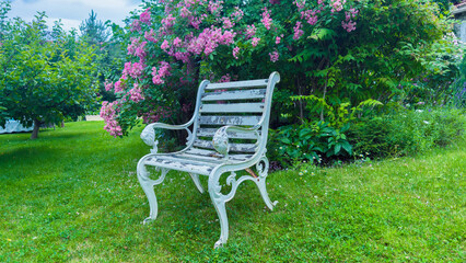 Charming White Metal Bench Surrounded by Lush Green Grass and Vibrant Blooming Pink Flowers in a...