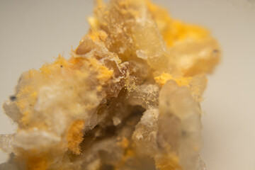 Close-up of red mold (Rhizopus oligosporus) growing on moist, spoiled rice. Shows fungal decay with...