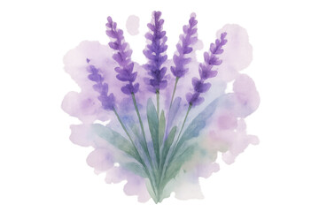 Obraz premium Watercolor painting of lavender flowers with green leaves on a transparent background, perfect for adding a touch of nature to designs