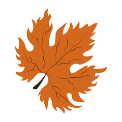 Autumn leaf isolated transparent background. Vector illustration of carved Autumn maple tree leaf. Ideal Autumn nature element for poster banner art cover template design. EPS 10