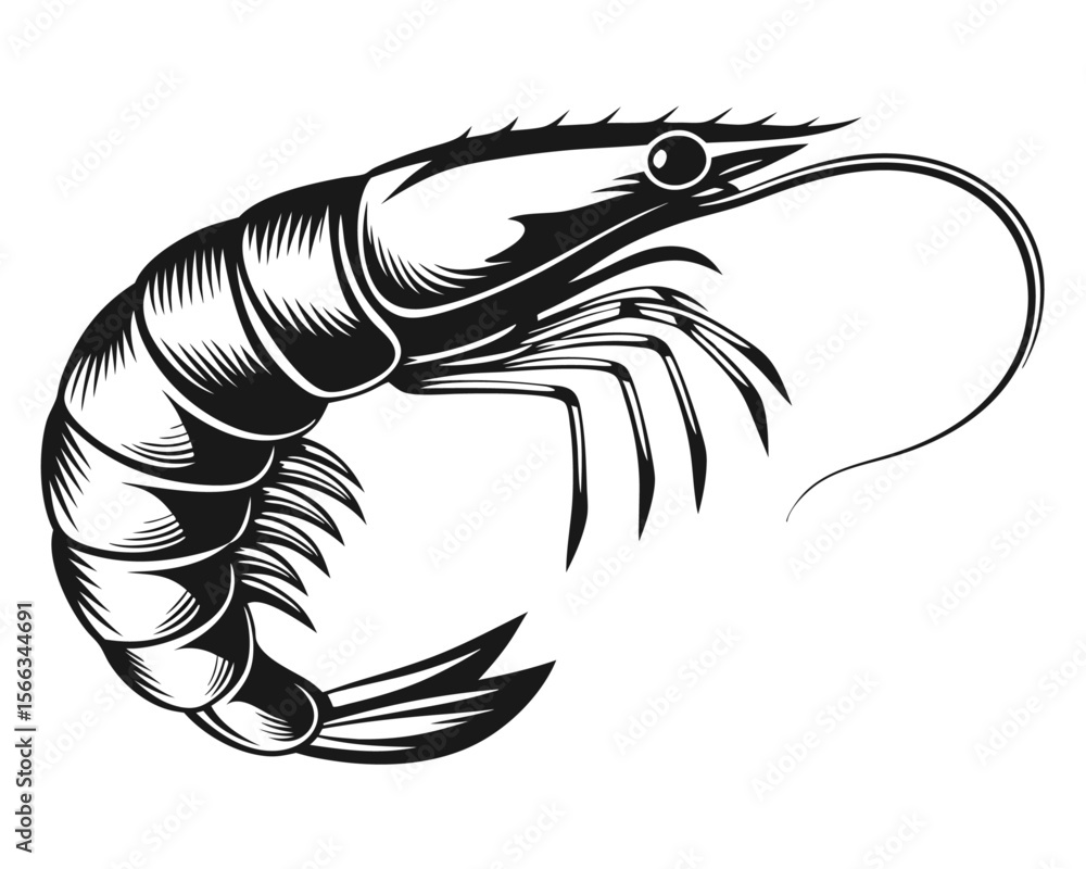 Aufkleber artistic rendering of a large detailed crustacean with a hand drawn aesthetic presented on a clean p