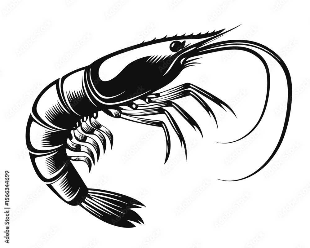 Poster artistic rendering of a large detailed crustacean with a handcrafted feel presented against a clean 