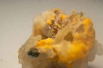 Close-up of red mold (Rhizopus oligosporus) growing on moist, spoiled rice. Shows fungal decay with...