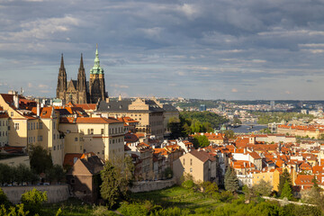 Fototapeta premium Historic Prague Skyline with St. Vitus Cathedral