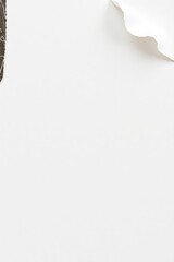 copy space for text background Collage Aesthetic with Torn Paper concept