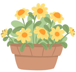Yellow flower in pot