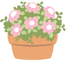 Cute pink flower in pot