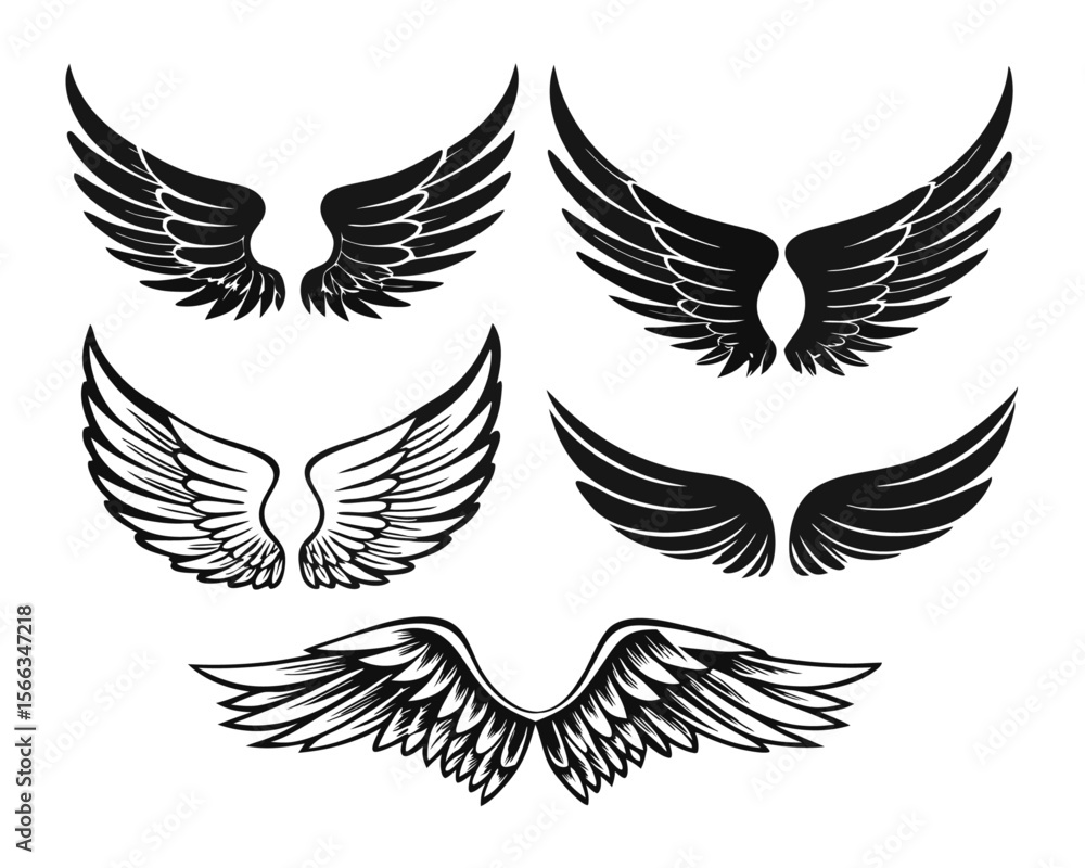 Poster a diverse assortment of elegantly designed avian and mythical creature appendages presented as a coh