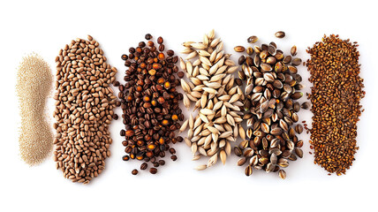A colorful assortment of brewing malt grains, from light to dark, perfect for craft beer enthusiasts and homebrewers.