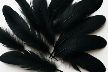 A flock of black feathers arranged intricately on a pristine white background