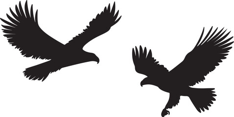 Obraz premium Soaring Hawks in Flight