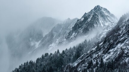 Obraz premium Misty mountain peaks and snow covered forest winter landscape