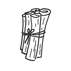 Bunch of cinnamon sticks, bark brown spice hand drawn. Sketch with rolled cinnamons. Spicy seasoning, condiment aromatic ingredient for cooking, backing. Illustration on isolated background.