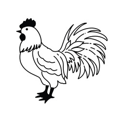 Obraz premium rooster vector illustration