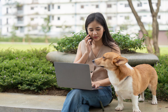 Remote Work and Pet Companionship. Young woman multitasking with laptop and phone while her corgi dog is nearby.