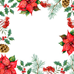 Christmas frame with poinsettia, fir branches and cones, berries and holly. Illustration watercolor on a white background.