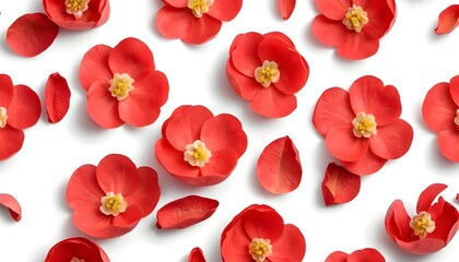 petals of chaenomeles displayed on a white surface

